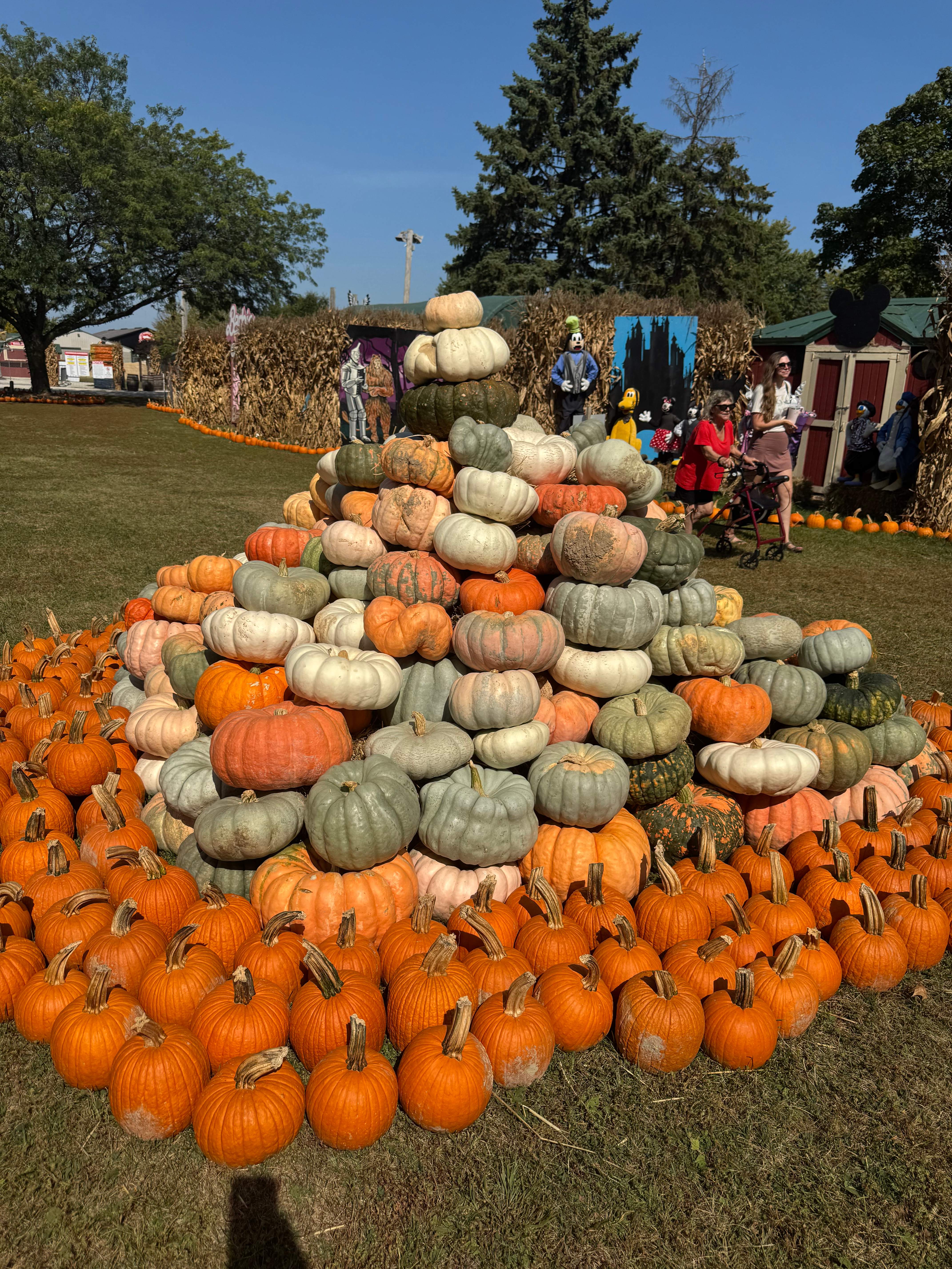 Pumpkin Patch